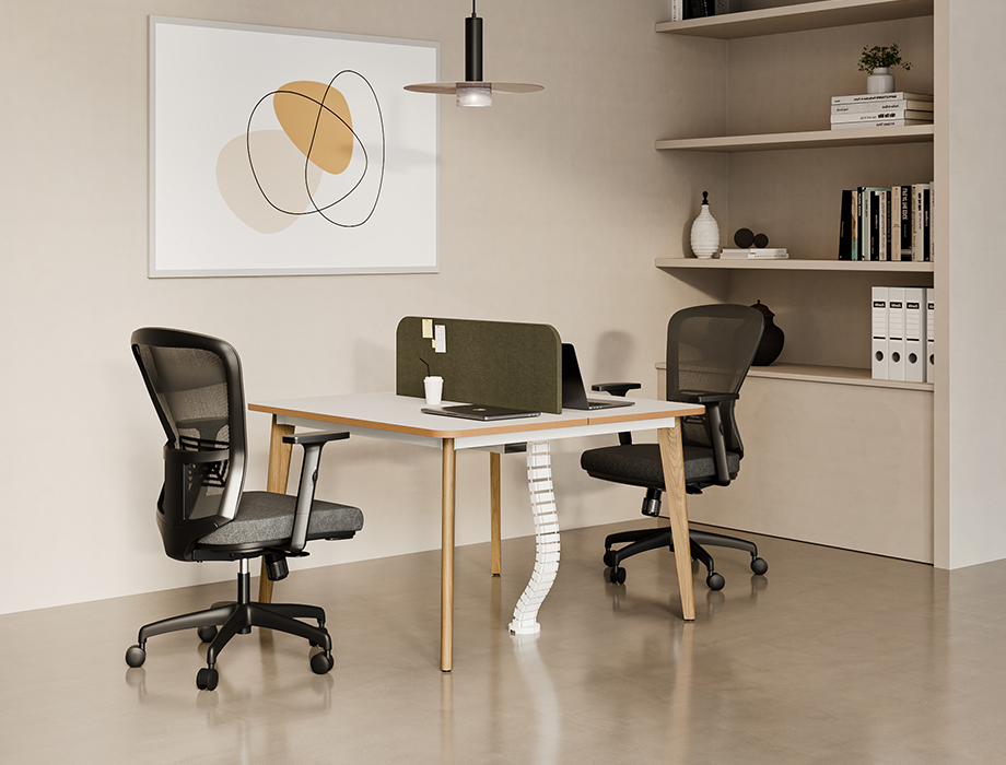 Orbis Linear 2 Persons Workstation (with Wooden Base)