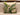 Verdure Cushion Cover