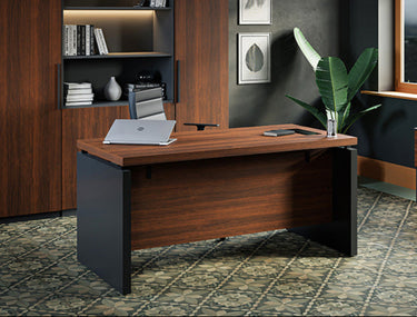 Omega Desk set
